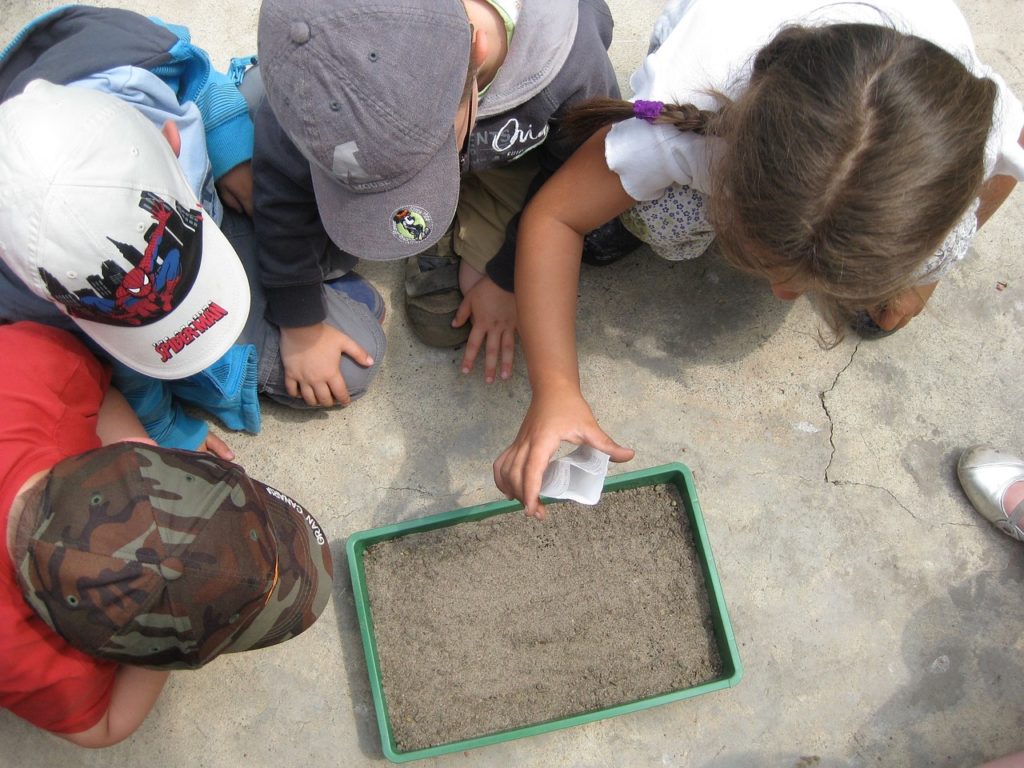 environmental education