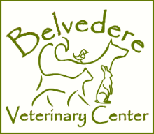 Belvedere Veterinary Center Baltimore